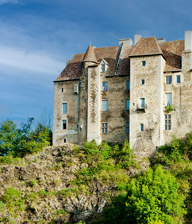 Diagnostic Mérules  Creuse 23